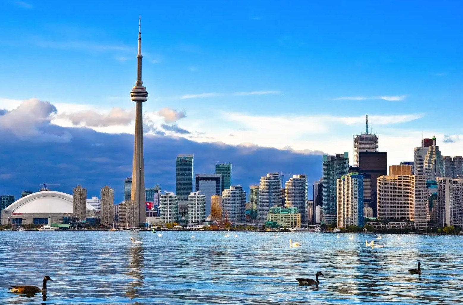 安省宣布2026年开通“Talent Stream”杰出人才移民通道