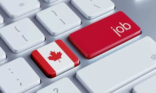 在加拿大最容易找到和最受欢迎的工作有哪些？
