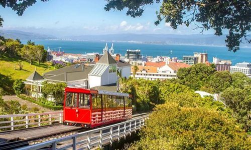 不坐移民监的底层逻辑：新西兰三种身份一次理清