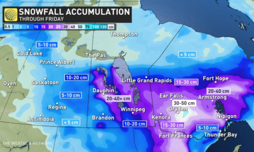 暴风雪来袭！加拿大安省部分地区今晚开始雪暴+强风！