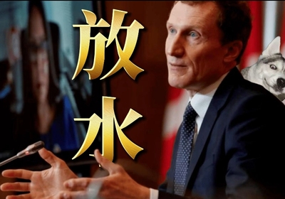 突发！加拿大移民开始放水了？！