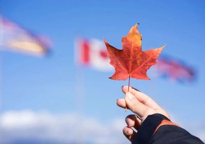 加拿大移民风向转变：法语申请人正在成为“优先资源”