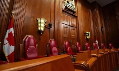 430宗移民申请遭“打包驳回”！加拿大移民正在清算这些操作