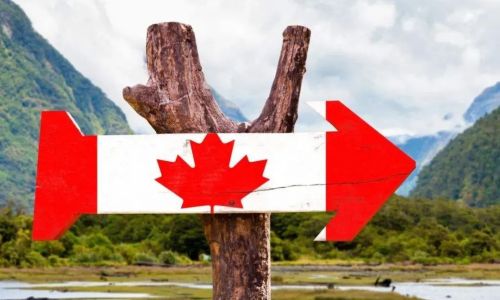 为什么越来越多的人，想要移民加拿大？