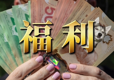 2024枫叶卡含金量或将进一步上涨！