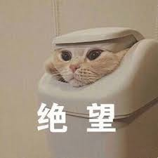 加拿大留学